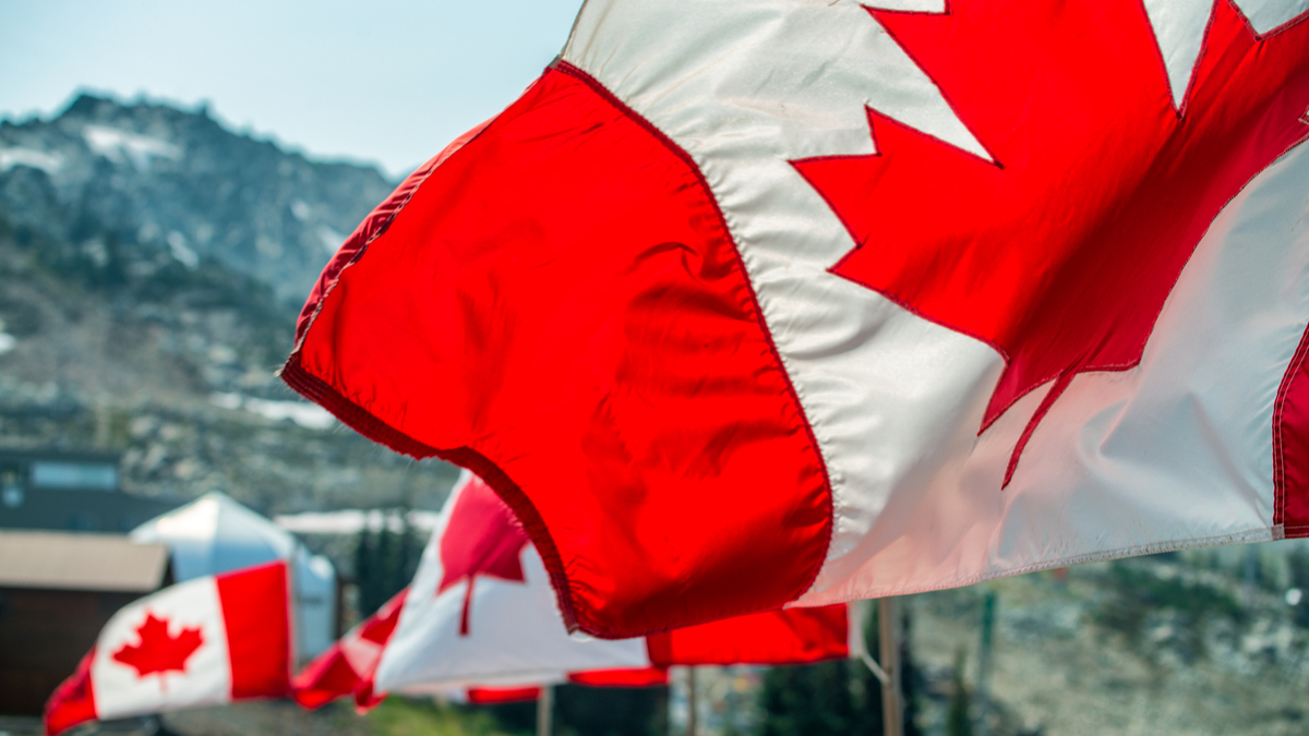 Canadian flags blowing in the wind